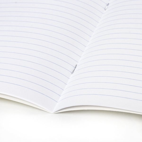 Тетрадь 12 л. BRAUBERG КЛАССИКА, линия, обложка картон, ЗЕЛЕНАЯ, 1 шт, 104726 - Тетради 12-24 листов