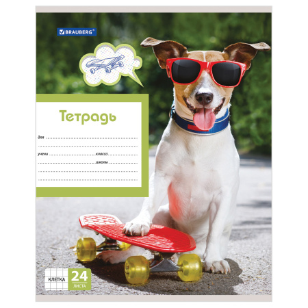 Тетрадь 24 л. BRAUBERG, клетка, обложка картон, MY BEST FRIEND, 403007 - Тетради 12-24 листов