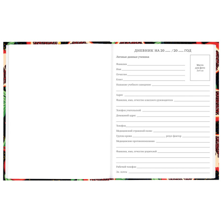 Дневник 5-11 класс 48 л., твердый, BRAUBERG, блестки, с подсказом, "Гранаты", 106639 - Дневники для старших классов