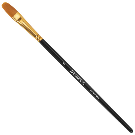 Кисти синтетика BRAUBERG, НАБОР 10 шт., черные (Круглые; Овальные; Плоские; Лайнеры), 201028 - Кисти для рисования