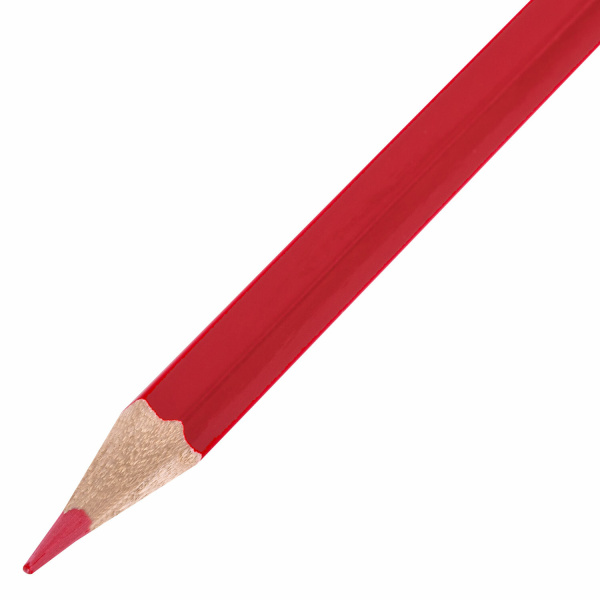 Карандаши цветные стираемые с ластиком BRAUBERG ERASABLE, 12 цветов, мягкий грифель 3 мм, 181932 - Карандаши цветные