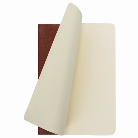 Тетрадь 48 л. в клетку обложка гладкий кожзам, сшивка, A5 (147х210мм), КОРИЧНЕВЫЙ, BRAUBERG VIVA, 403888 - Тетради 40-48 листов