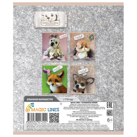 Тетрадь А5, 48 л., ПЗБМ, скоба, клетка, конгрев, выборочный TWIN лак, "Валяй" (5 видов), 027402 - Тетради 40-48 листов