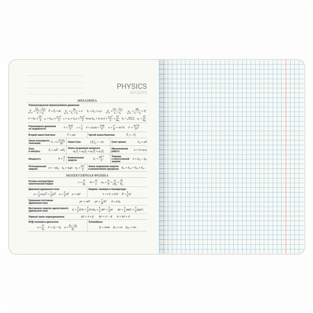 Тетрадь предметная "КОТ-ЭНТУЗИАСТ" 48 л., TWIN-лак, ФИЗИКА, клетка, подсказ, BRAUBERG, 404566 - Тетради предметные