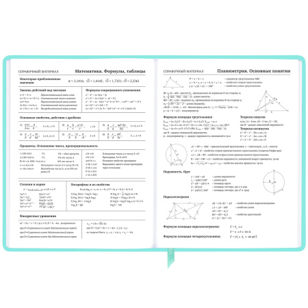 Дневник 1-11 класс 48 л., кожзам SoftTouch (твердая с поролоном), фольга, BRAUBERG, "Leopard", 106576 - Дневники универсальные