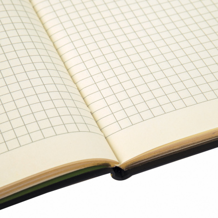 Тетрадь А5 (168х208 мм), 80 л., сшивка, клетка, под кожу, бумага 70 г/м2, фольга, BRAUBERG VISTA, "Avocado", 403919 - Тетради более 60 листов