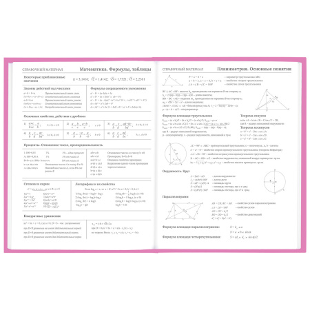Дневник 1-11 класс 48 л., твердый, BRAUBERG, глянцевая ламинация, с подсказом, "Ice cream party", 106602 - Дневники для младших классов