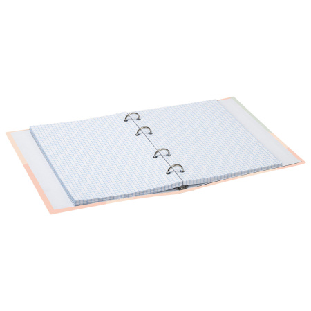 Тетрадь на кольцах А5 (165х215 мм), 120 листов, твердый картон, клетка, BRAUBERG, Девушка, 404076 - Тетради на кольцах и сменные блоки к ним