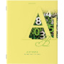 Тетради предметные, КОМПЛЕКТ 12 ПРЕДМЕТОВ, ПАСТЕЛЬНАЯ, 48 листов, обложка картон, BRAUBERG, 404026 - Тетради предметные