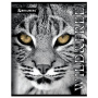 Тетрадь А5, 48 л., BRAUBERG, скоба, линия, обложка картон, ДИКИЕ И СВОБОДНЫЕ, 401897 - Тетради 40-48 листов