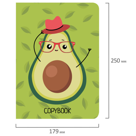 Тетради 60 л. в линию обложка SoftTouch, НАБОР 2 шт., бежевая бумага 70 г/м2, сшивка, B5 (179х250 мм), КОНТРАСТ, BRAUBERG, 403826 - Тетради более 60 листов