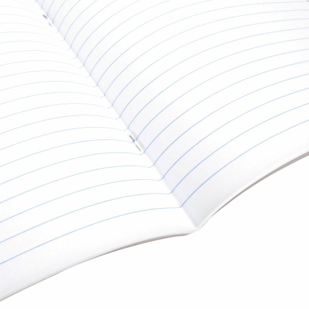 Тетрадь предметная ANIME 48 л., глянцевый УФ-лак, ЛИТЕРАТУРА, линия, BRAUBERG, 404540 - Тетради предметные