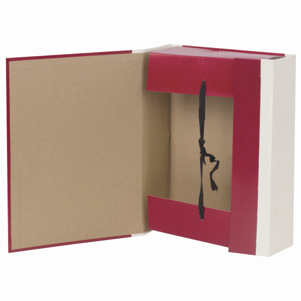 Папка для бумаг архивная А4 (225х310 мм), 80 мм, 4 завязки, бумвинил, корешок - коленкор, 123200 - Папки картонные с завязками