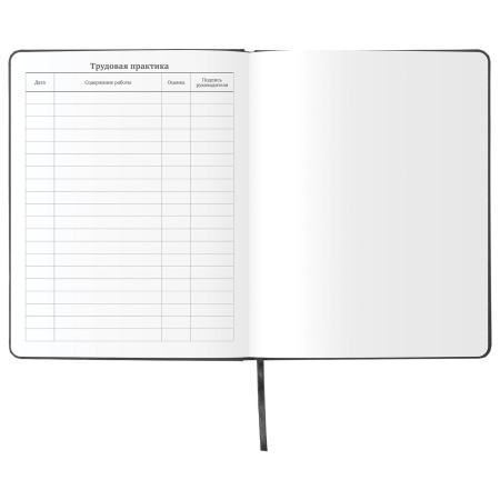 Дневник 1-11 класс 48л, кожзам (твердая), шелкография, BRAUBERG, "ЛЕВ ПОП-АРТ", 105991 - Дневники универсальные