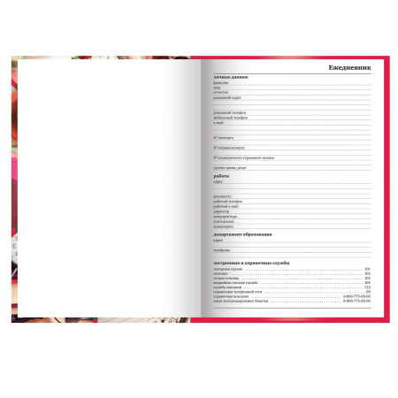 Ежедневник учителя специализированный А5 (215х145 мм), твердая обложка, 144 л., BRAUBERG, "АКСЕССУАРЫ", 129232 - Ежедневники с твердой обложкой