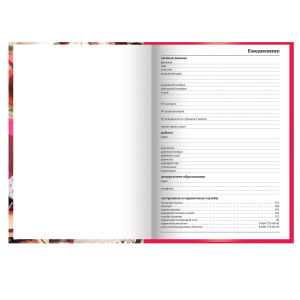 Ежедневник учителя специализированный А5 (215х145 мм), твердая обложка, 144 л., BRAUBERG, "АКСЕССУАРЫ", 129232 - Ежедневники с твердой обложкой