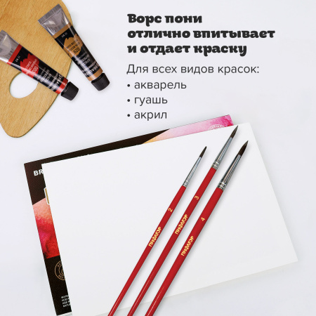 Кисти ПИФАГОР, набор 3 шт. (ПОНИ: круглые № 2, 3, 4), пакет с европодвесом, 200227 - Кисти для рисования
