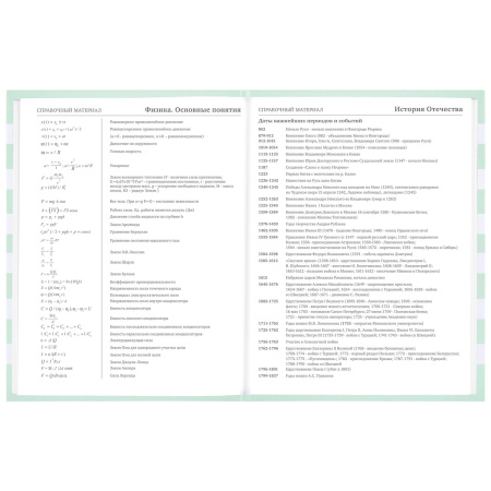 Дневник 1-11 класс 48 л., твердый, BRAUBERG, блестки, с подсказом, "Котик", 106606 - Дневники для младших классов