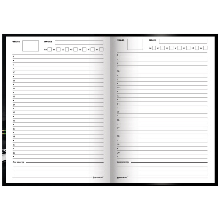 Ежедневник учителя специализированный А5 (215х145 мм), твердая обложка, 144 л., BRAUBERG, "ЯБЛОКО", 129235 - Ежедневники с твердой обложкой