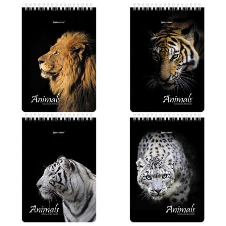 Блокнот А5 (146х206 мм), 80 л., гребень, картон, жесткая подложка, клетка, BRAUBERG, "Хищники", 114385 - Блокноты