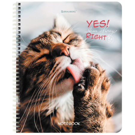 Тетрадь А5 80 л. BRAUBERG, гребень, клетка, глянцевая ламинация, "Довольные Коты" (4 вида в спайке), 404417 - Тетради более 60 листов