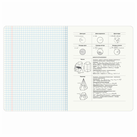 Тетрадь предметная "КОТ-ЭНТУЗИАСТ" 48 л., TWIN-лак, ГЕОМЕТРИЯ, клетка, подсказ, BRAUBERG, 404561 - Тетради предметные