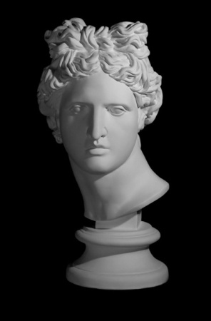Голова Аполлона Бельведерского 25*25*56 (10-109)