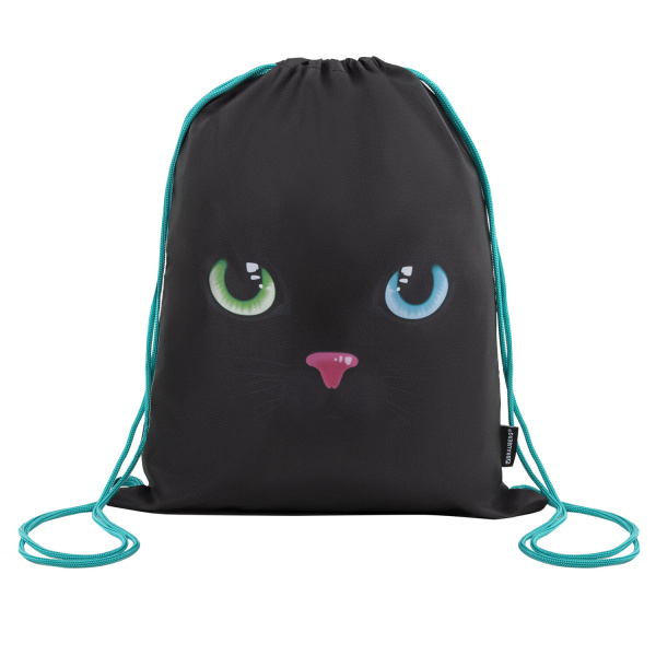 Школьный набор BRAUBERG: папка А4, мешок для обуви 42х33 см, пенал-косметичка 20х10 см, "Black cat", 271434 - Наборы школьного сопутствующего текстиля