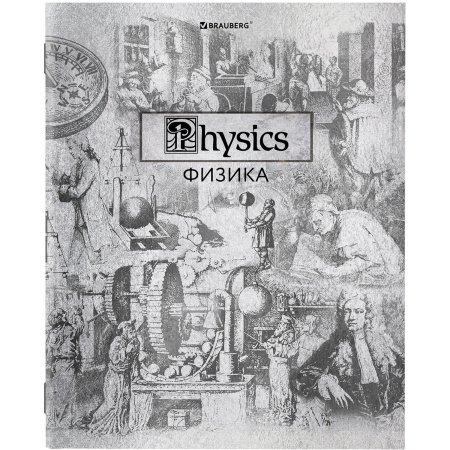 Тетради предметные, КОМПЛЕКТ 12 ПРЕДМЕТОВ, "SILVER", 48 листов, с серебряной обложкой, BRAUBERG, 404034 - Тетради предметные