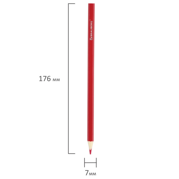 Карандаши цветные BRAUBERG "My lovely dogs", 12 цветов, заточенные, картонная упаковка, 180531 - Карандаши цветные