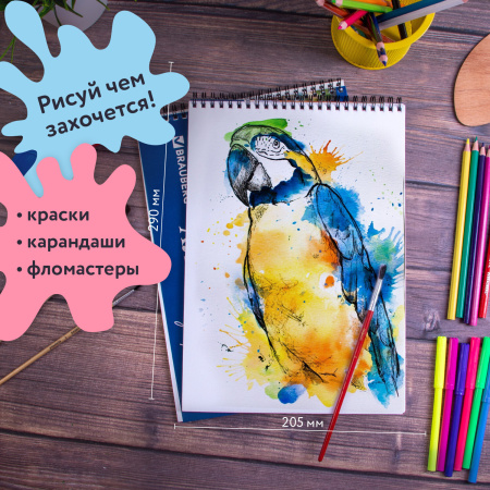 Альбомы для рисования А4 40 л., КОМПЛЕКТ 2 шт., гребень, обложка картон, BRAUBERG, 205х290 мм, "Природа" (2 вида), 880031 - Альбомы и папки для рисования