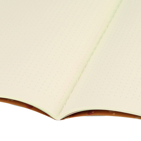 Тетрадь 40 л. в точку обложка SoftTouch, бежевая бумага 70 г/м2, сшивка, А5 (147х210 мм), ЦВЕТЫ, BRAUBERG, 403801 - Тетради 40-48 листов