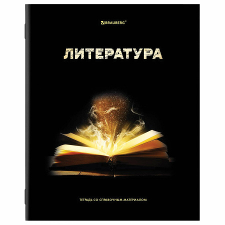 Тетради предметные, КОМПЛЕКТ 12 ПРЕДМЕТОВ, "SHADE", 48 л., глянцевый УФ-лак, BRAUBERG, 404324 - Тетради предметные