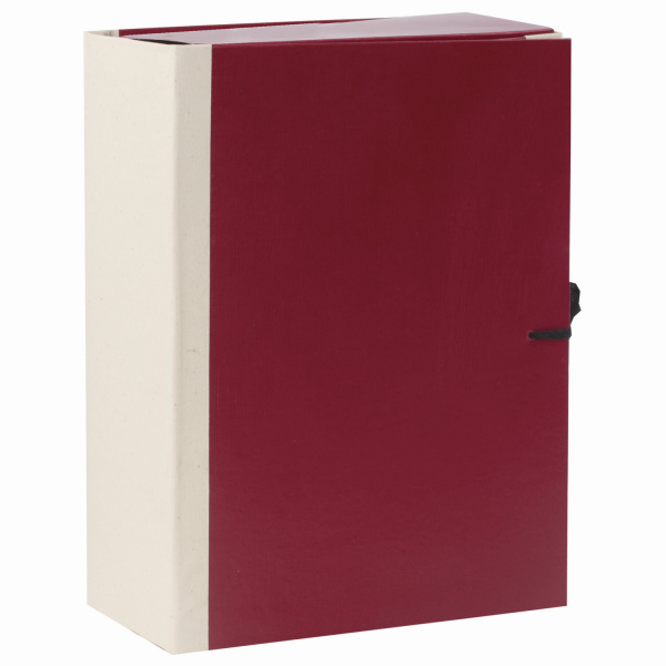 Папка для бумаг архивная А4 (225х310 мм), 120 мм, 4 завязки, бумвинил, корешок - коленкор, 123201 - Папки картонные с завязками