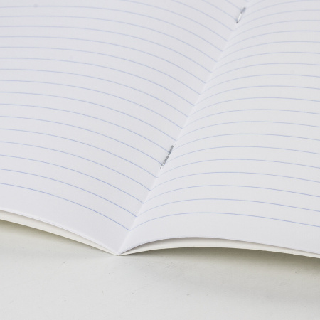 Тетрадь 12 л. ЮНЛАНДИЯ КЛАССИЧЕСКАЯ, линия, обложка картон, ЗЕЛЕНАЯ, 105644 - Тетради 12-24 листов