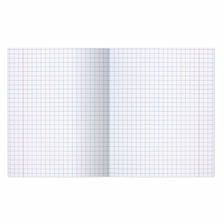 Тетради 12 л. КОМПЛЕКТ 20 шт. BRAUBERG ВЕЛИКИЕ ИМЕНА АРХИМЕД, крупная клетка, бумага 80 г/м2, 880023 - Тетради 12-24 листов