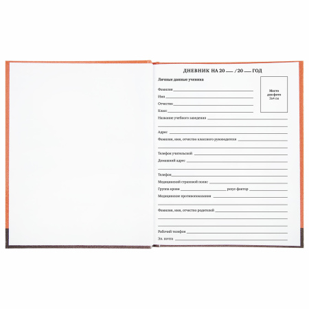 Дневник 1-11 класс 40 л., твердый, BRAUBERG, глянцевая ламинация, "Монстрик", 106383 - Дневники универсальные