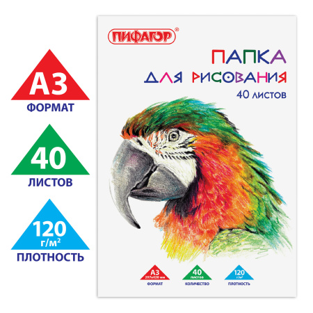 Папка для рисования БОЛЬШОГО ФОРМАТА А3, 40 л., 120 г/м2, ПИФАГОР, 297х420 мм, "Попугай", 129219 - Альбомы и папки для рисования