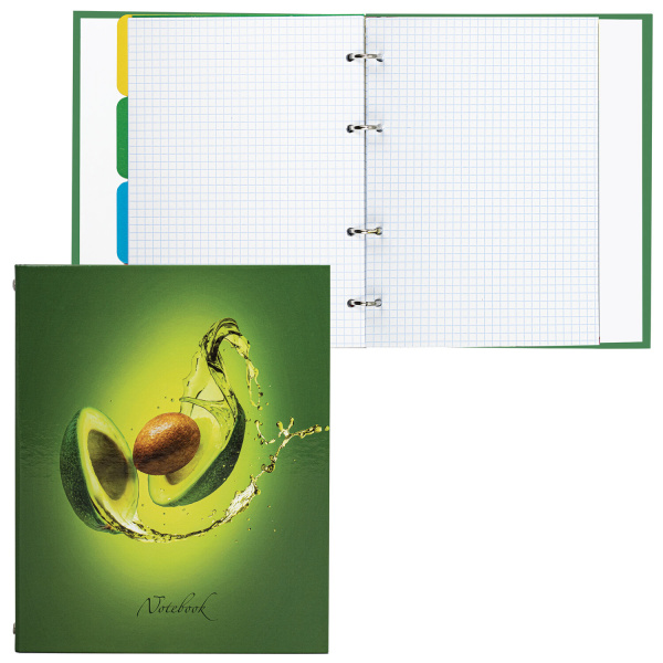 Тетрадь на кольцах А5 (175х215 мм), 240 листов, твердый картон, клетка, с разделителями, BRAUBERG, Авокадо, 404098 - Тетради на кольцах и сменные блоки к ним