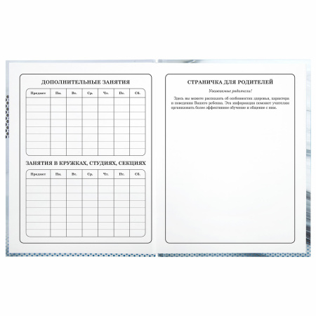 Дневник 1-4 класс 48 л., твердый, BRAUBERG, выборочный лак, с подсказом, "Авто Мечты", 106363 - Дневники для младших классов