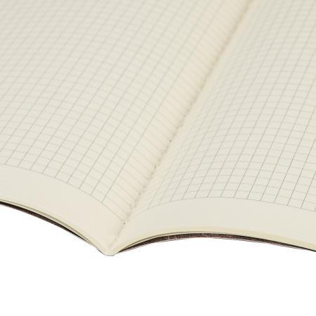 Тетрадь 40 л. в клетку обложка SoftTouch, бежевая бумага 70 г/м2, сшивка, А5 (147х210 мм), MISTER CAT, BRAUBERG, 403768 - Тетради 40-48 листов
