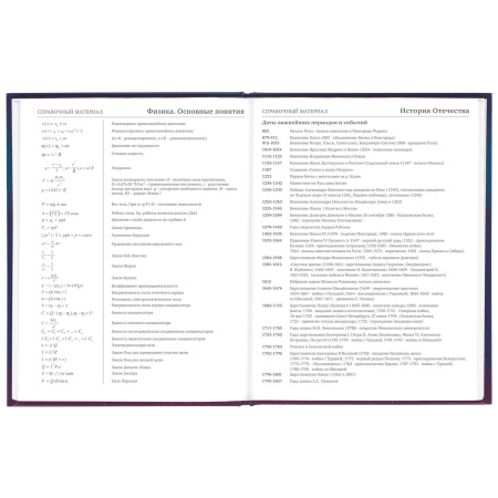 Дневник 5-11 класс 48 л., твердый, BRAUBERG, глянцевая ламинация, с подсказом, "Spaceman", 106407 - Дневники для старших классов