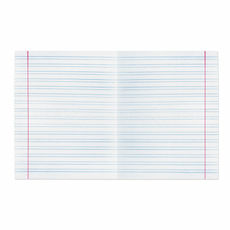 Тетради 12 л. КОМПЛЕКТ 20 шт. BRAUBERG "ВЕЛИКИЕ ИМЕНА КРЫЛОВ И.А.", узкая линия, бумага 80 г/м2, 880020 - Тетради 12-24 листов