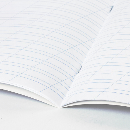 Тетрадь 12 л. BRAUBERG "КЛАССИКА NEW", косая линия, обложка картон, ЗЕЛЕНАЯ, 10568, 105688 - Тетради 12-24 листов