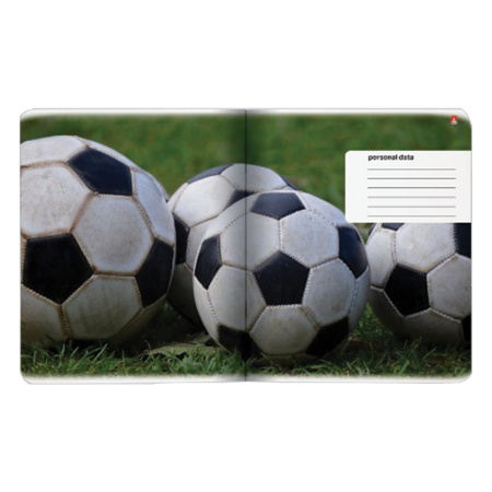 Тетрадь А5, 48 л., АЛЬТ, скоба, клетка, гибридный лак, "НАСТОЯЩИЙ ФУТБОЛ" (5 видов), 7-48-597 - Тетради 40-48 листов