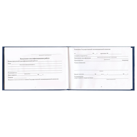 Бланк документа "Зачетная книжка для ВУЗа", 101х138 мм, STAFF, 129141 - Бланки документов