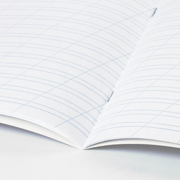 Тетрадь 12 л. BRAUBERG "КЛАССИКА NEW", косая линия, обложка картон, ЗЕЛЕНАЯ, 10568, 105688 - Тетради 12-24 листов