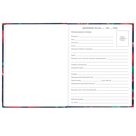 Дневник 5-11 класс 48 л., твердый, BRAUBERG, глянцевая ламинация, с подсказом, "Гранаты", 106621 - Дневники для старших классов