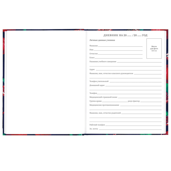 Дневник 5-11 класс 48 л., твердый, BRAUBERG, глянцевая ламинация, с подсказом, "Гранаты", 106621 - Дневники для старших классов