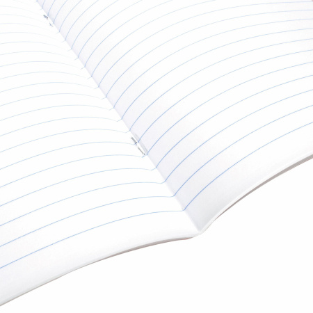 Тетрадь предметная "СИЯНИЕ ЗНАНИЙ" 48 л., глянцевый УФ-лак, ЛИТЕРАТУРА, линия, BRAUBERG, 404528 - Тетради предметные